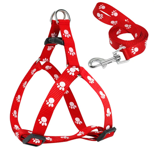 Printed Dog Leash